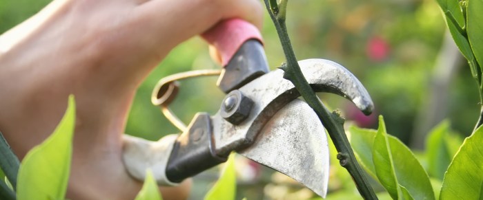 image-separation-entretien